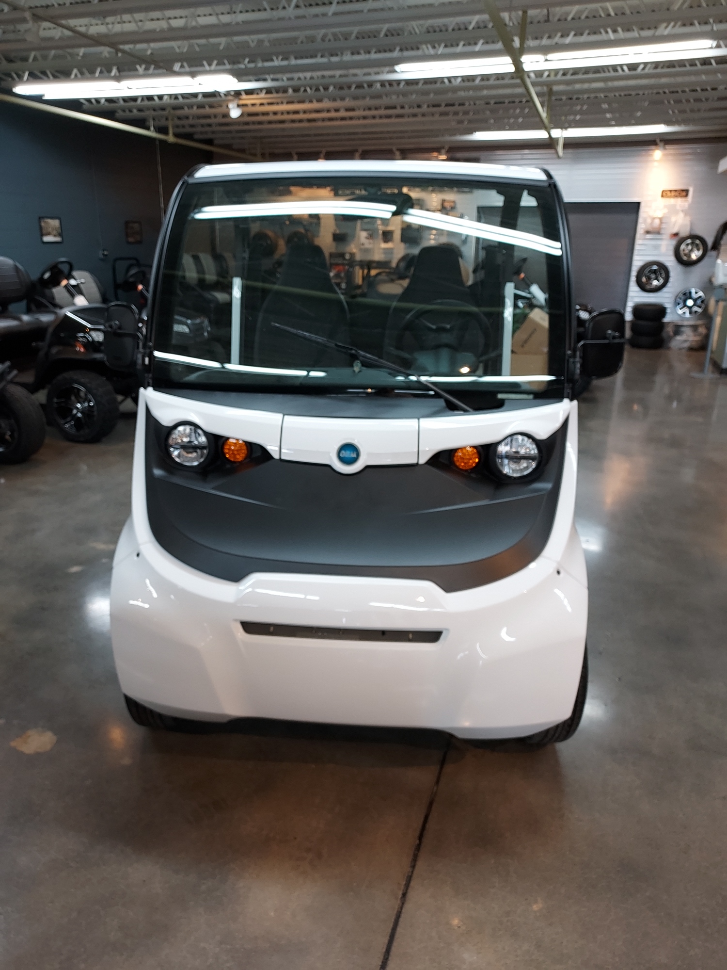 2022 Waev GEM e2 LSV 2 Passenger Electric Post Thumbnail